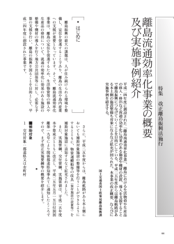 離 島 流 通 効 率 化 事 業 の 概 要 及 び 実 施 事 例 紹 介