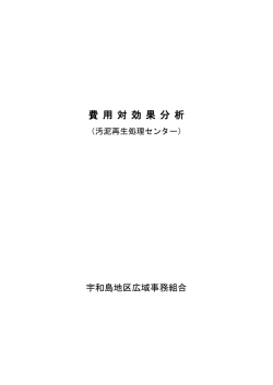 費 用 対 効 果 分 析