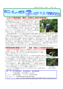 ～ミカンの隔年結果（裏年）の対応と今後の技術対策～ ～ミカンの隔年