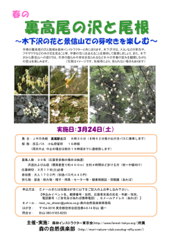 裏高尾の沢と尾根 - 森林インストラクター東京会