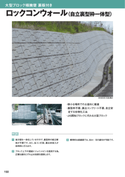 ロックコンウォール（自立裏型枠一体型）