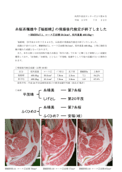糸桜系種雄牛『福姫晴』の現場後代検定が終了しました
