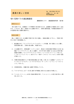 切り花用バラの適品種選定 - 熊本県