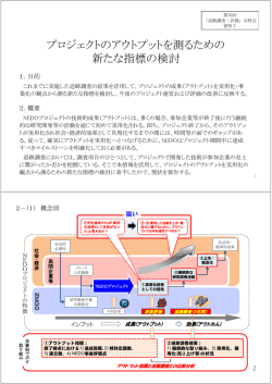 プロジェクトのアウトプットを測るための新たな指標の検討 - 新エネルギー
