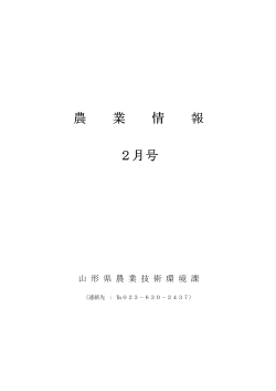 PDF（603KB）