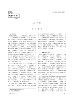 ホッケ柱 - 日本気象学会