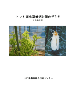 (山口県3)トマト黄化葉巻病対策の手引き（PDF：1168KB）