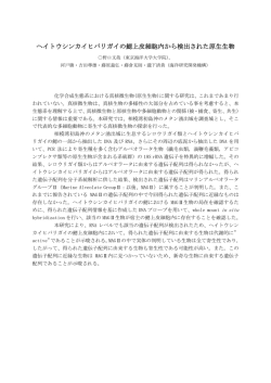 ヘイトウシンカイヒバリガイの鰓上皮細胞内から検出された原生 - jamstec