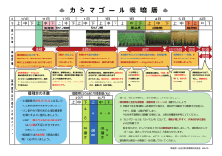 カ シ マ ゴ ー ル 栽 培 暦 - 茨城県農林振興公社