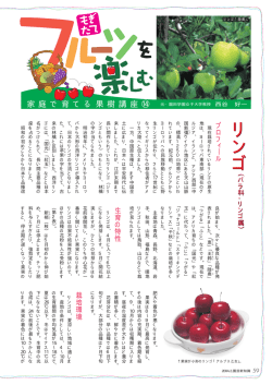 リ ン ゴ リ ン ゴ