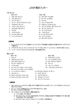 JDSF規定フィガー