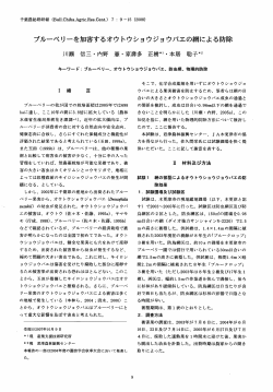 全文（PDF：639KB） - 千葉県