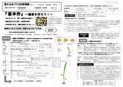 H23売れる米づくり技術情報№2（後期苗管理） - JAにいがた南蒲