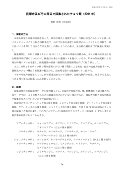 貝塚市及びその周辺で採集されたチョウ類（2004年）（PDF：310KB）