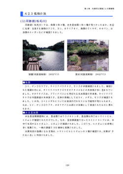 4.2.3 低地の池 (1)河跡湖(松毛川) - 三島市