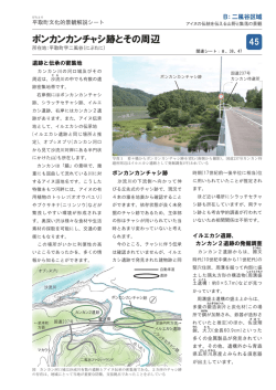 ポンカンカンチャシ跡とその周辺 - 平取町