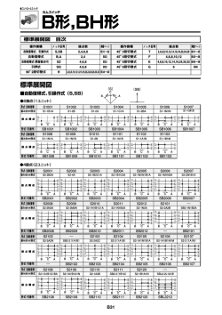 標準展開図