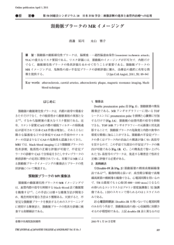 頸動脈プラークの MR イメージング - Japanese College of Angiology