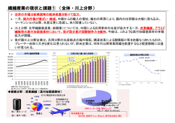 別添(PDF形式：514KB) - 経済産業省