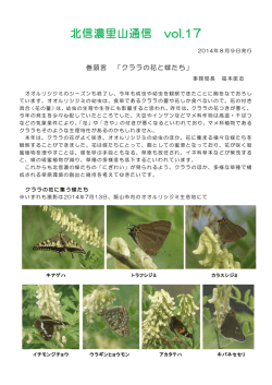 北信濃里山通信 vol.17