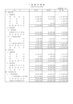 1．貸 借 対 照 表 - 日本フルードパワー工業会