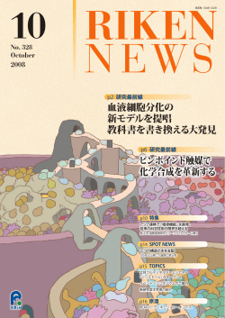 血液細胞分化の 新モデルを提唱 教科書を書き換える大発見 ピンポイント