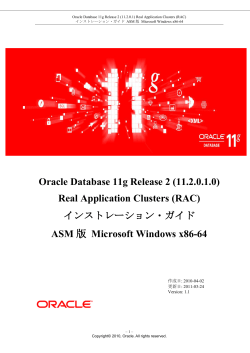 Oracle Database 11g Release 2 (11.2.0.1.0) Real Application Clusters