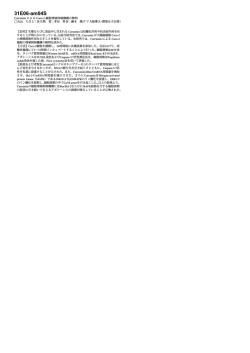 31E06-am04S