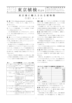 東京植検だより - 東京植物検疫協会