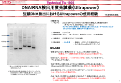 E.ColiのゲノムからPCRにて 増幅した2本鎖DNA断片