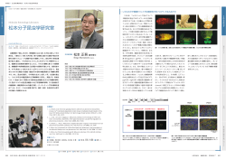 松本分子昆虫学研究室 - 基幹研究所 RIKEN Advanced Science Institute