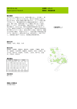 （画像無し） - 兵庫県
