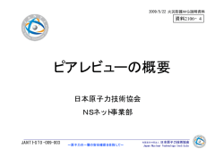 資料2106-4 ピアレビューの概要（PDF形式：181KB）