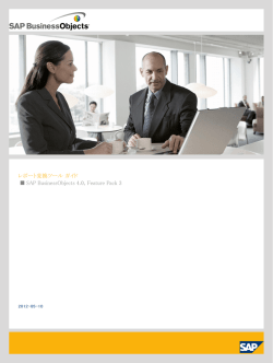 レポート変換ツール ガイド - SAP Help Portal