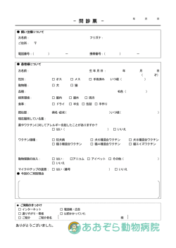 初診問診票【PDFファイル】