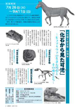 可児郷土歴史館 特別展 - 可児市