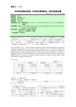 22770184seika.pdf - KAKEN - 科学研究費助成事業データベース