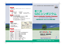 行事の詳細（ポスター、プログラム、ちらし、写真など） - 世界化学年