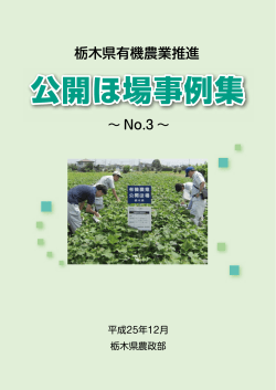 平成24年度版（No.3) （PDF：1061KB） - 栃木県