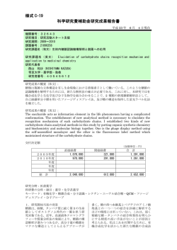 様式 C-19 科学研究費補助金研究成果報告書 - KAKEN - 科学研究費