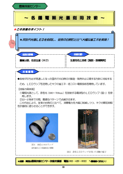 各種電照光源利用技術(181KB)(PDF文書)