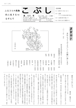 謹 賀 新 年  - OCN