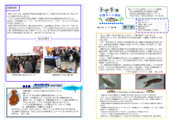 H20.2.13 第7号 - 特定非営利活動法人会津阿賀川流域ネットワーク