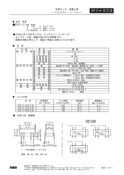 DIP-1T - 沖田製作所