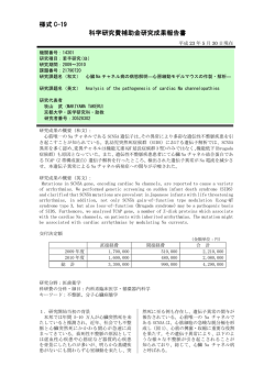 様式 C-19 科学研究費補助金研究成果報告書 - KAKEN - 科学研究費