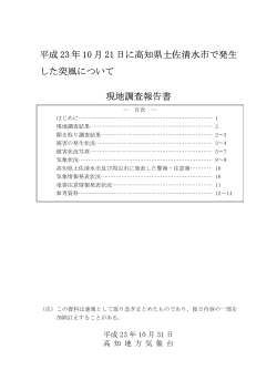 現地調査報告書（pdf:827KB） - 気象庁