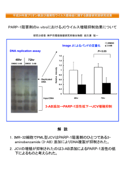 奴久妻聡一 - プリオン病及び遅発性ウイルス感染症に関する調査研究