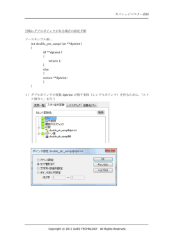 カバレッジマスター資料 引数にダブルポインタがある場合の設定手順