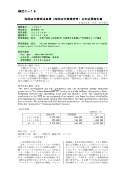 研究成果報告書 - KAKEN - 科学研究費助成事業データベース