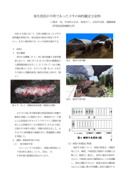 全文原稿（PDF：165KB） - 長野県